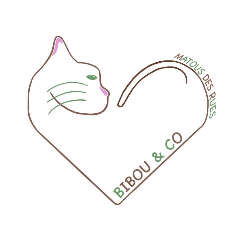 Image 1747311347