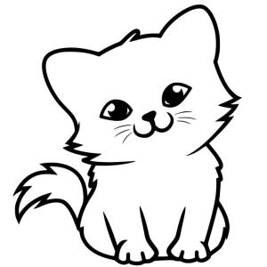 Image 1747311347