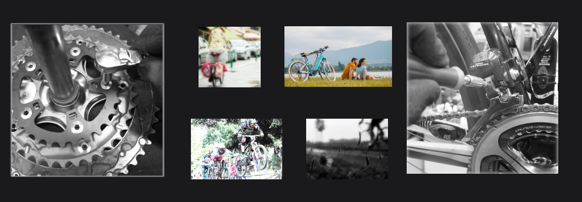 Images 1663666421