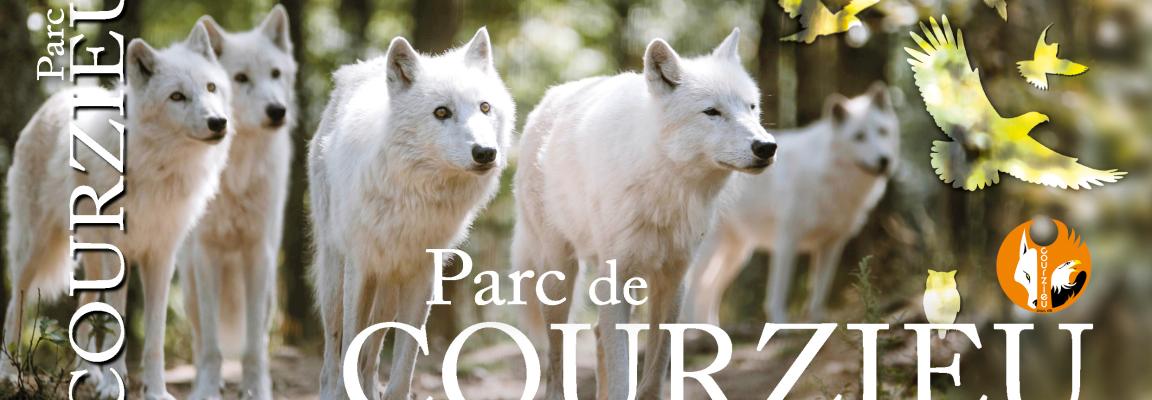 Images 1686648218
