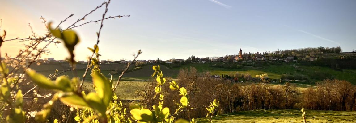 Images 1744143192