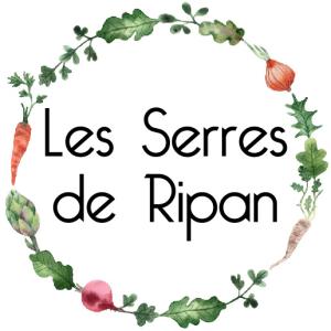 Logo 1741168146