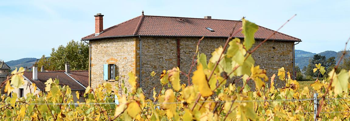 domaine