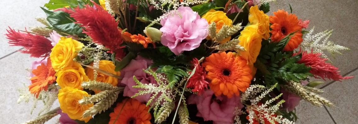 IMG 20250417 WA0017