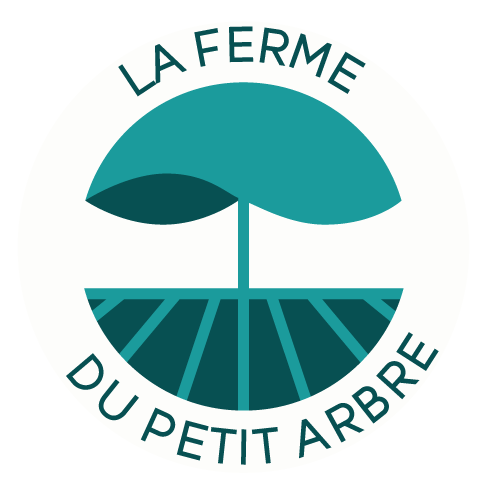 LOGO COULEUR 3 FOND ROND