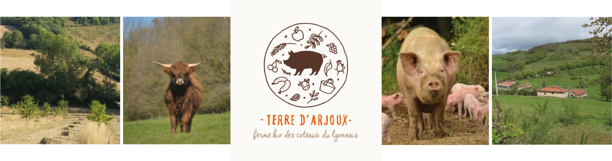 mise en page