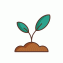 1827 growing plant lineal