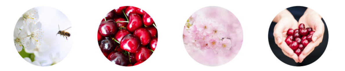 bien fait sur notre sante