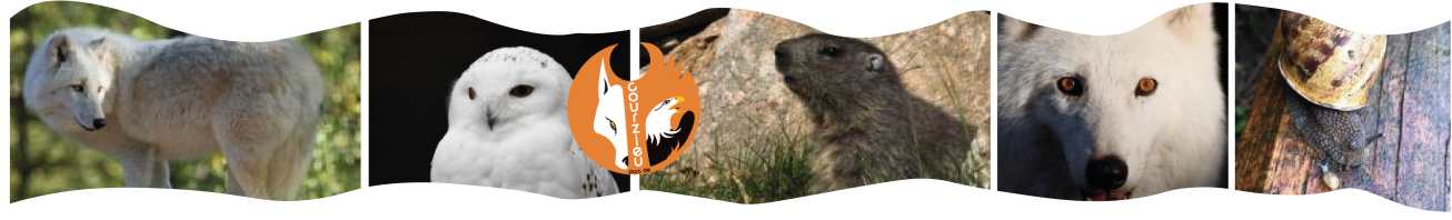 bandeau courzieu Plan de travail 1 copie2