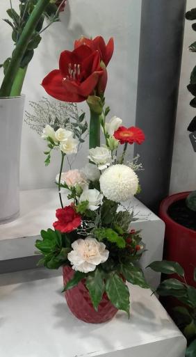 plaisir fleuri composition