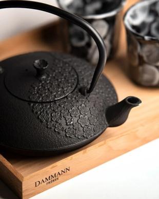 theieres jibek daina