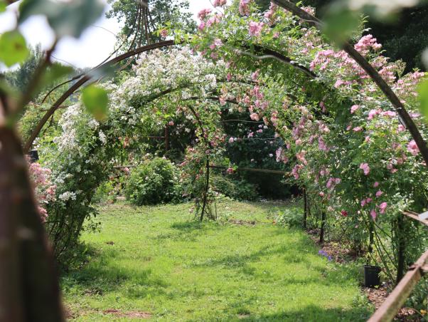 Sarcey jardin des eaux OTIMDL 24