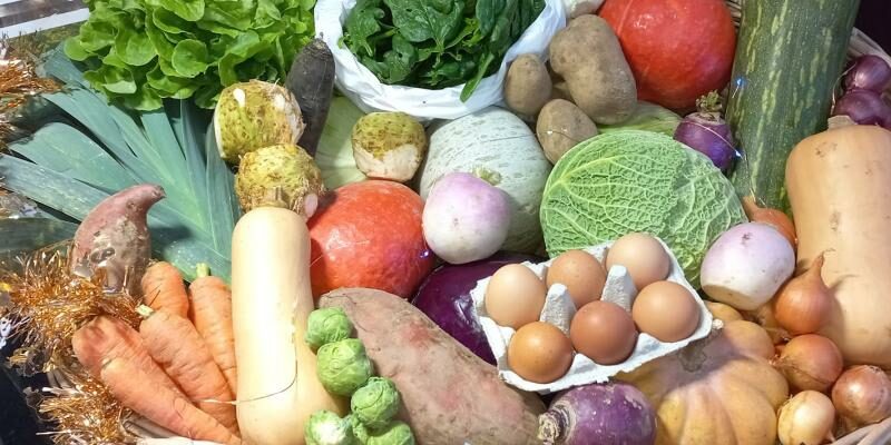 484181010-663434466263333-5743472831116411888-n