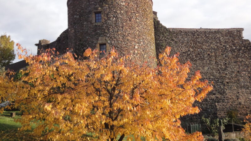 Château de Montbloy