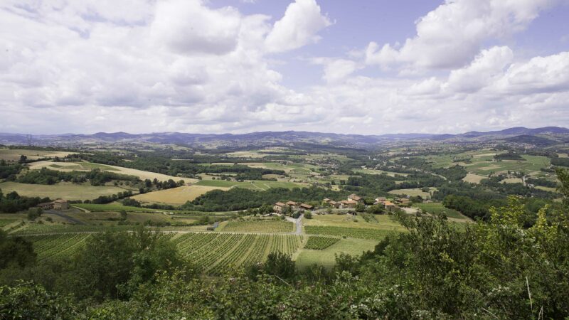 Vue depuis l'esplanade