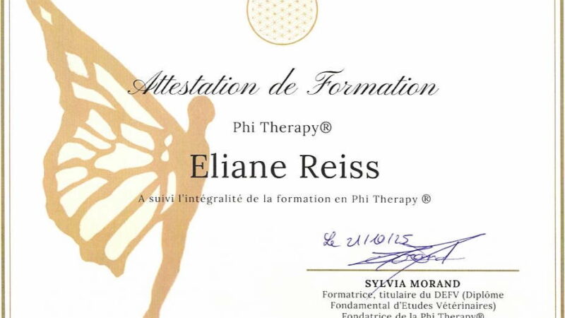 ATTESTATION-PHI-THERAPY.jpeg