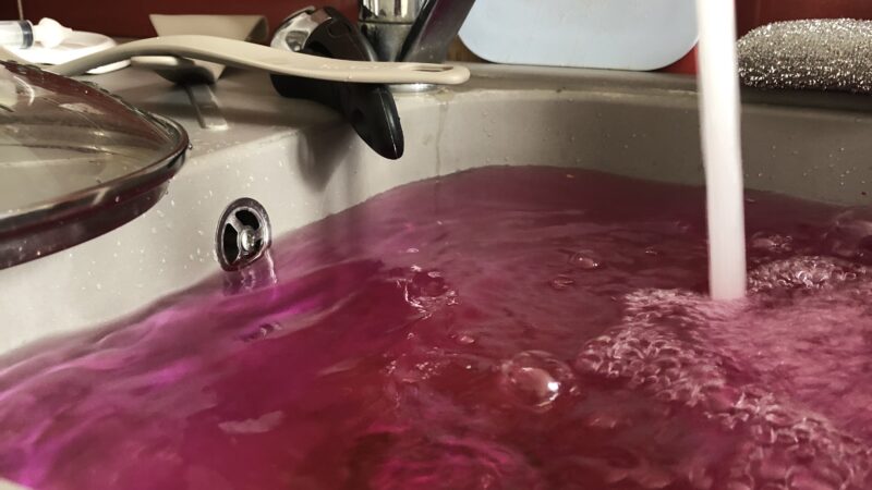 IMG_4035.jpeg