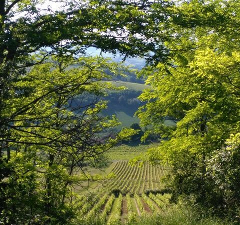 11-Paysages-SGN-2.jpg