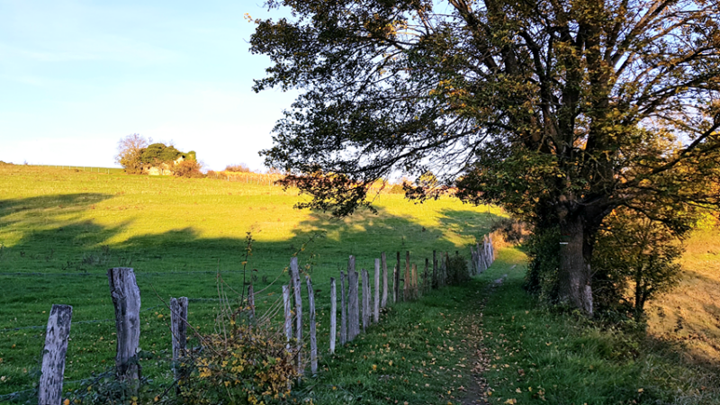 5-Paysages-SGN-1.png