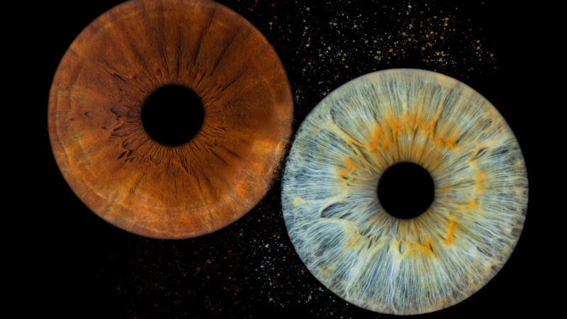 Iris-houda-chaumartin-photographe-lentilly.jpg